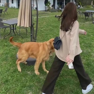 狗和狼的时间